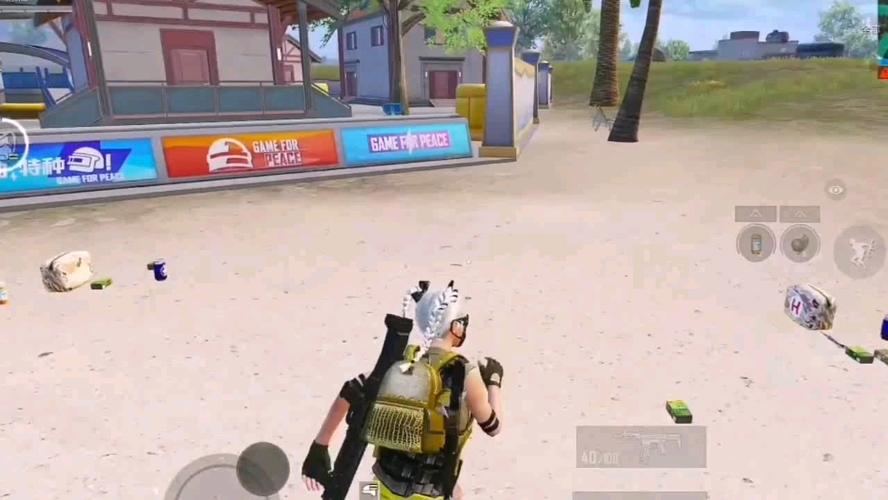 手机和平精英辅助透视